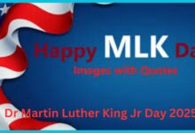 Dr Martin Luther King Jr Day 2025 Celebration Idea